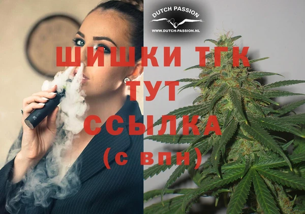 СК Надым
