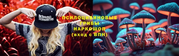 СК Надым